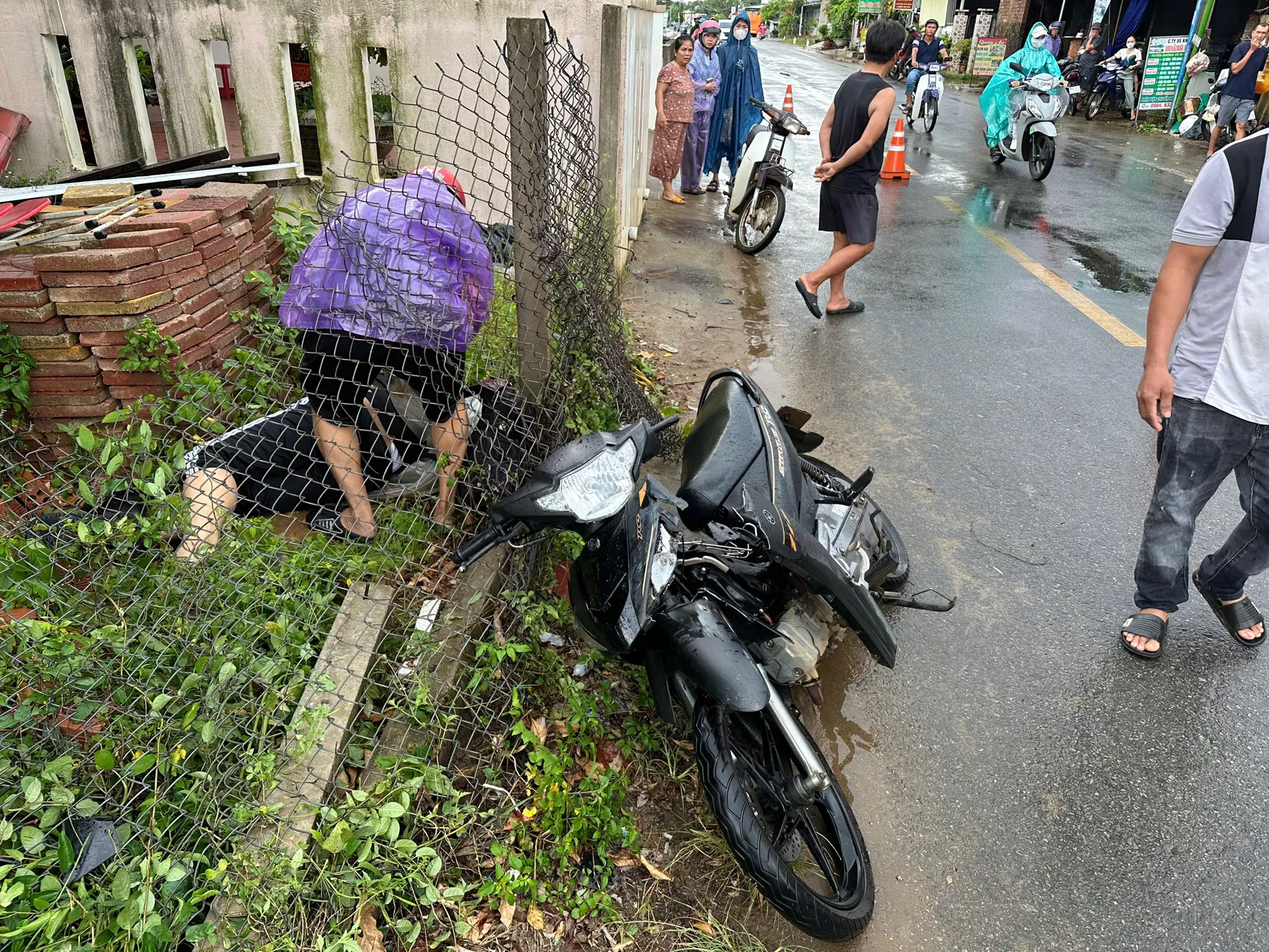 Hình ảnh 1