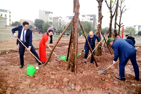 Long Biên phát động Tết trồng cây Xuân Bính Ngọ 2026- mở rộng không gian xanh