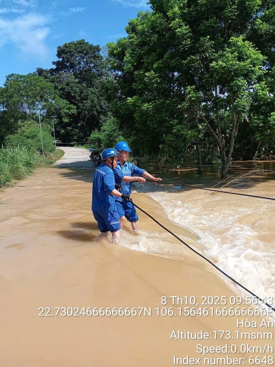 Hình ảnh 1
