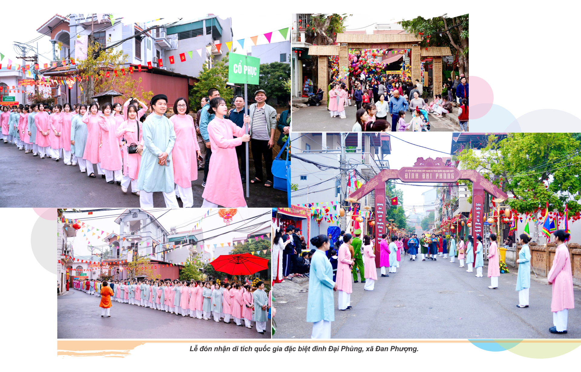 Hình ảnh 8