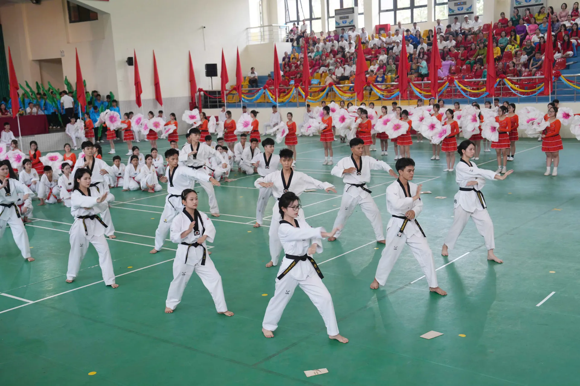 Hình ảnh 10