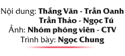 Hình ảnh 17