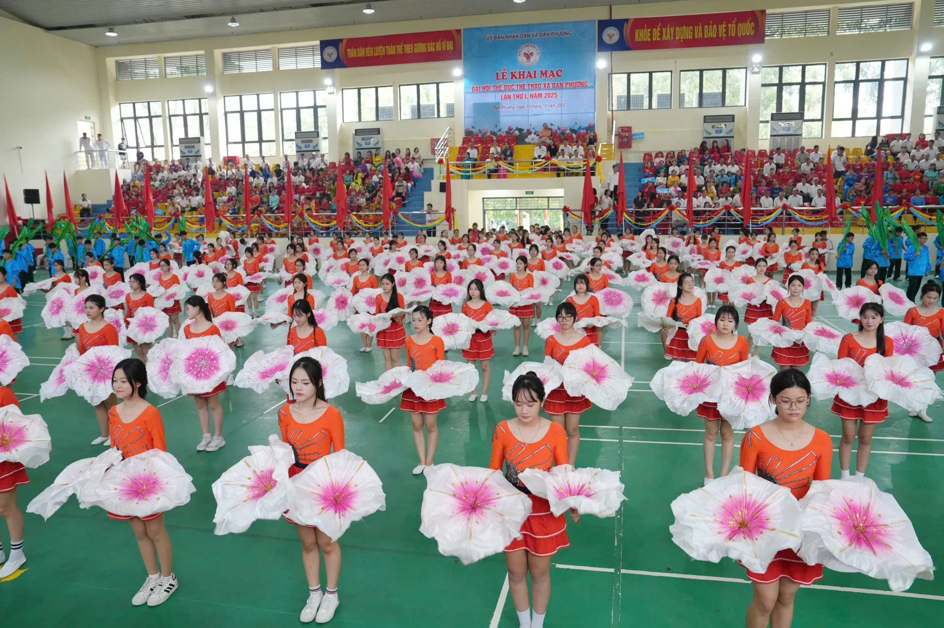 Hình ảnh 13