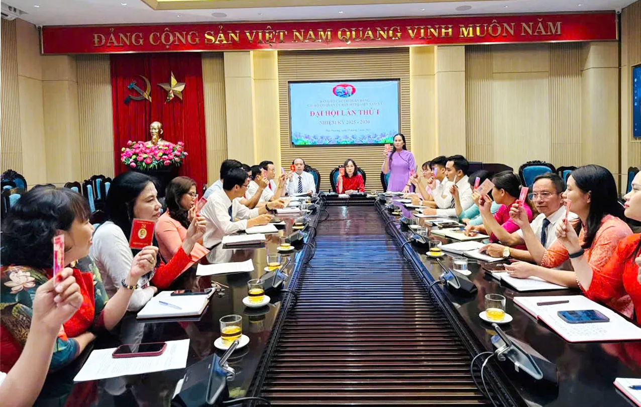 Hình ảnh 3