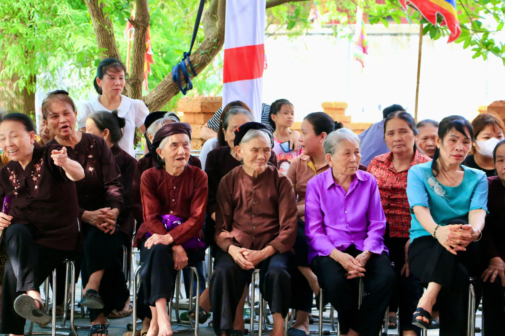 Hình ảnh 5