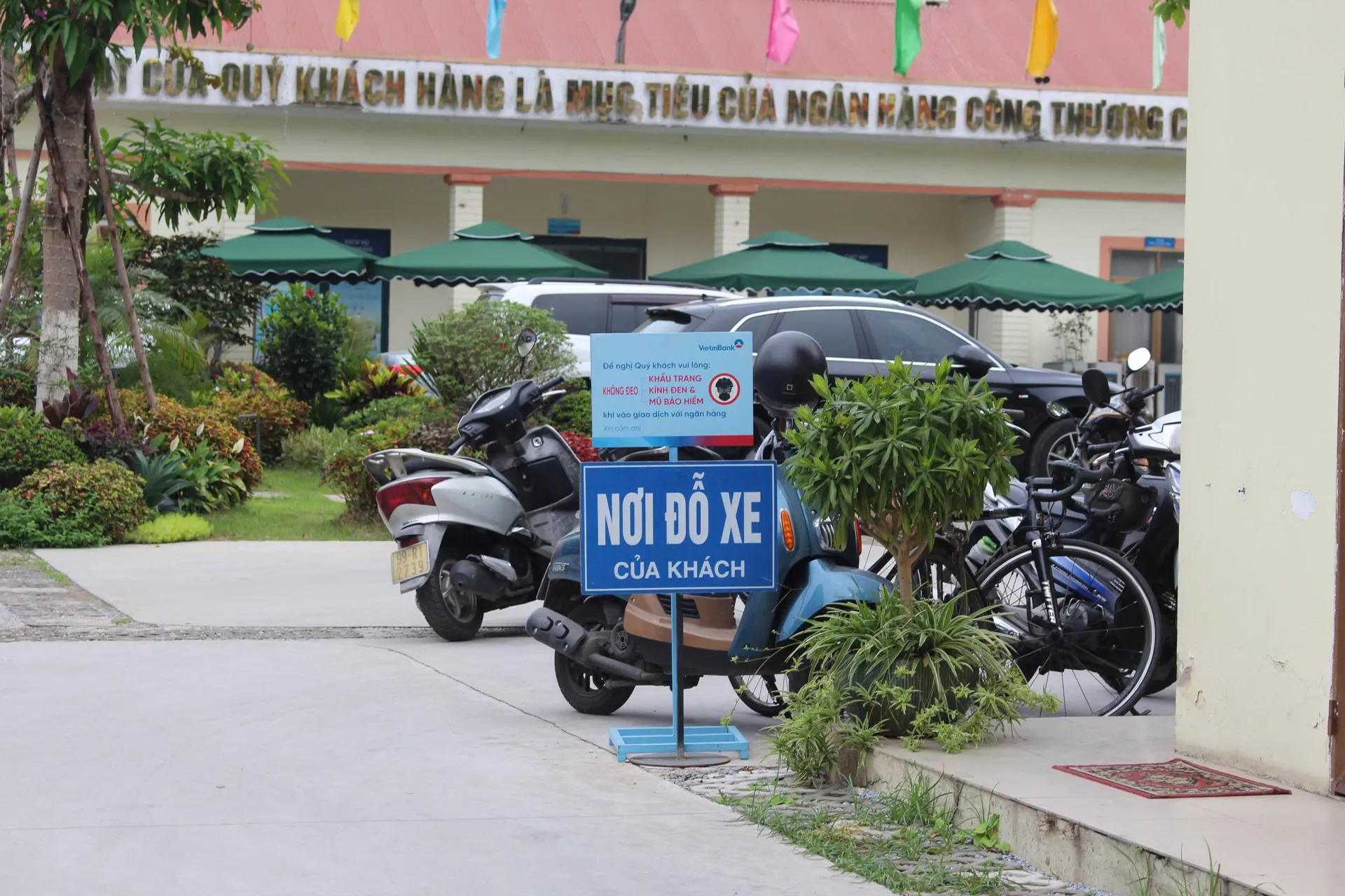 Hình ảnh 15
