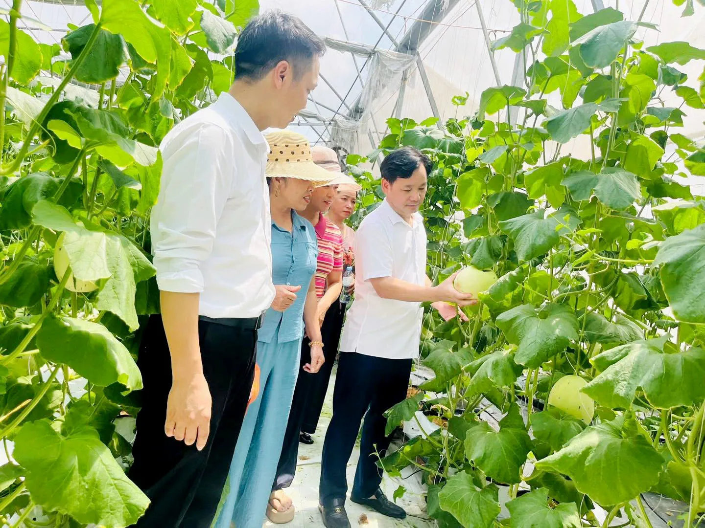 Hình ảnh 6