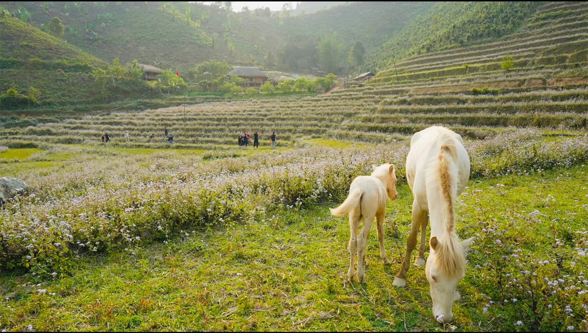 Hình ảnh 2