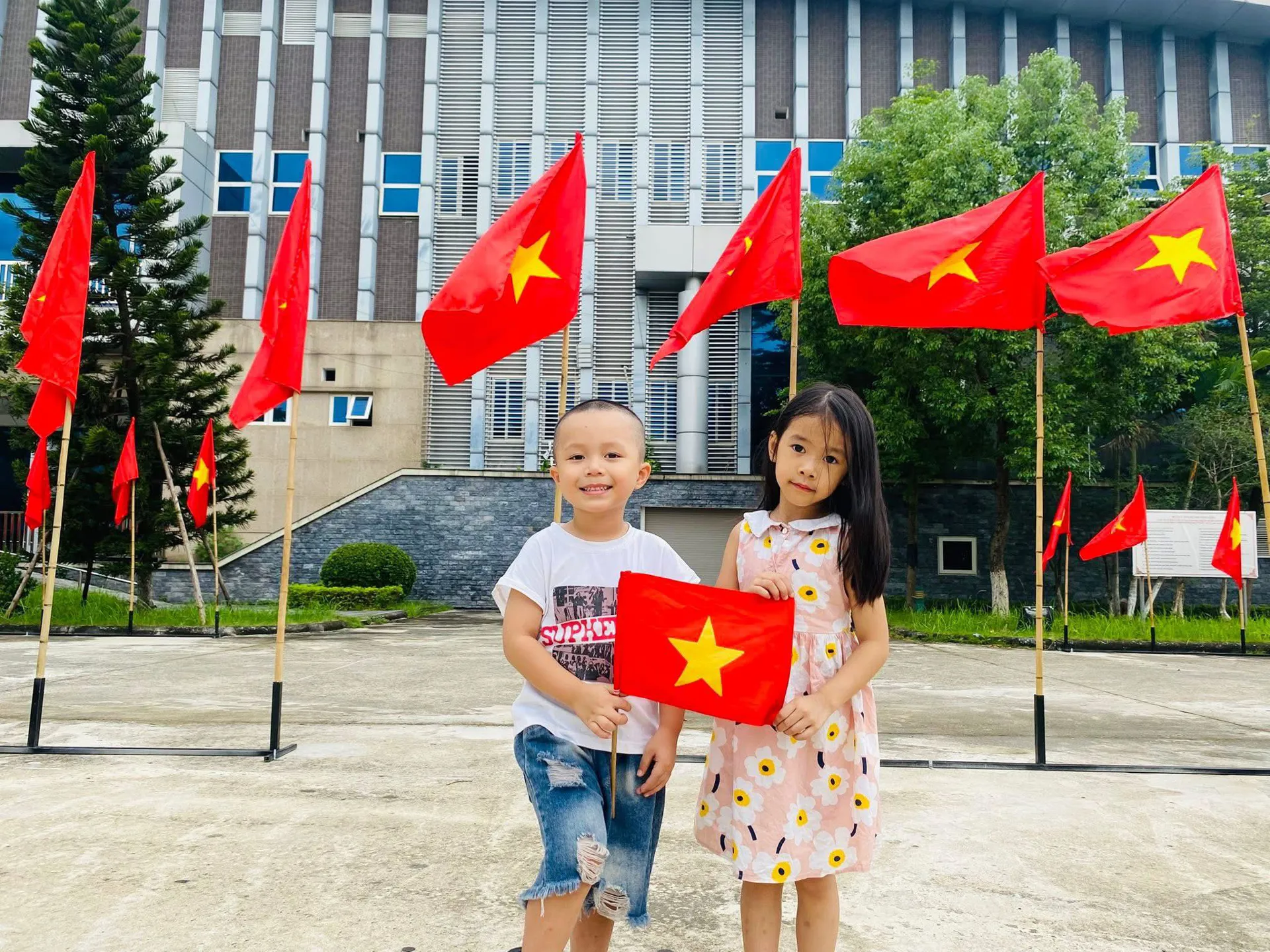 Hình ảnh 12