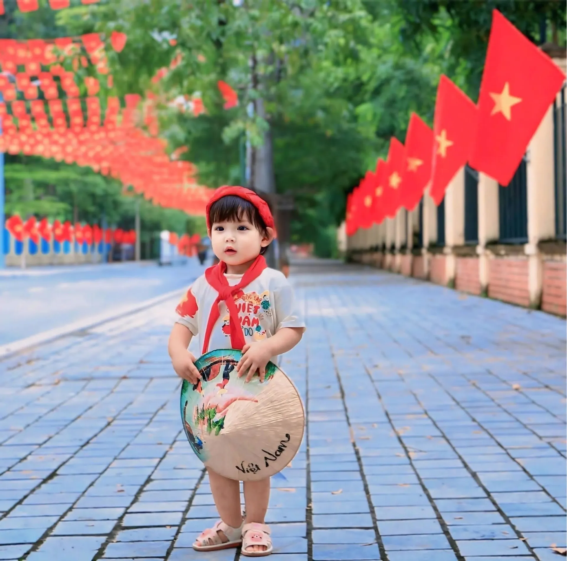 Hình ảnh 5