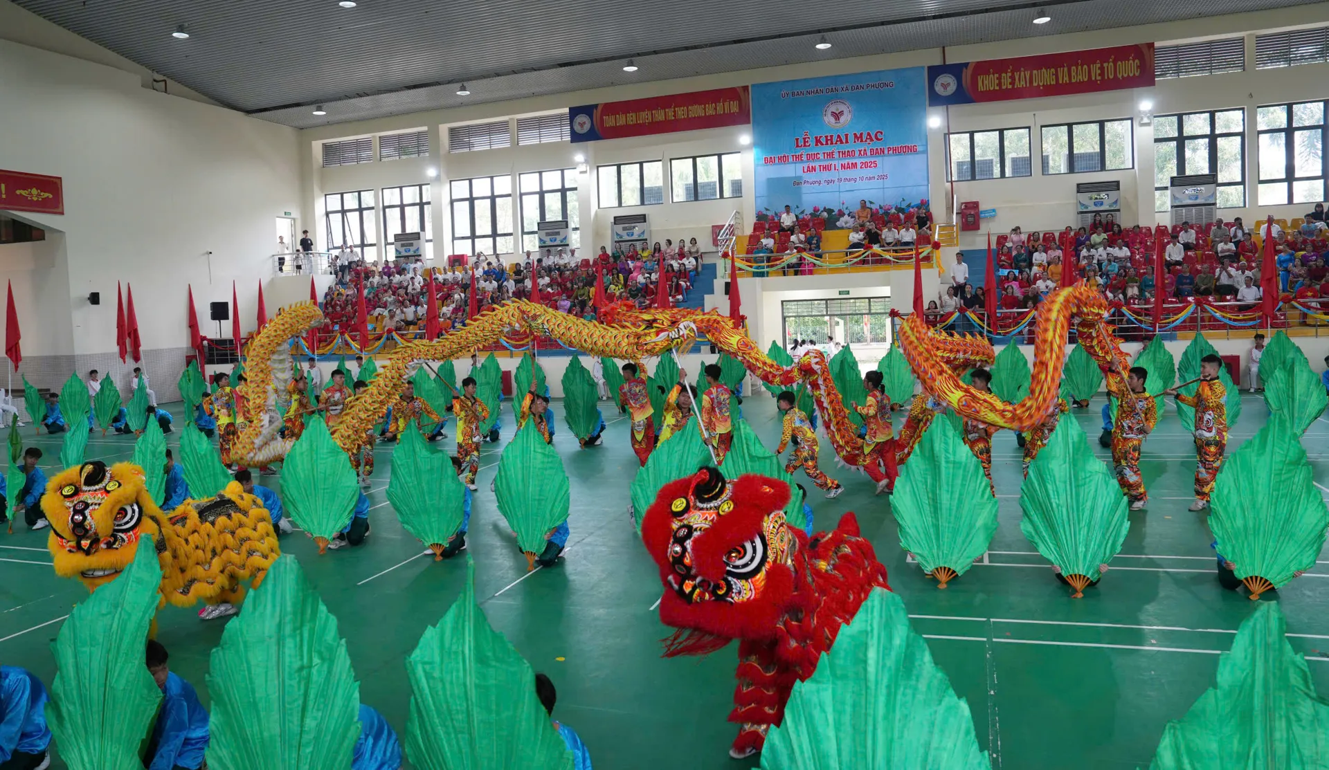 Hình ảnh 12