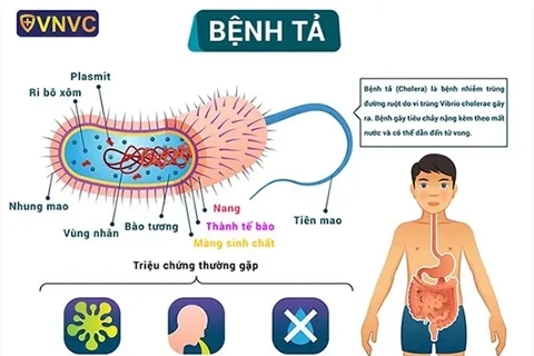 Việt Nam chưa ghi nhận trường hợp mắc bệnh tả