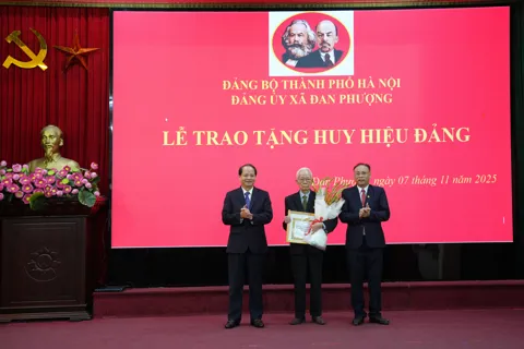 22 đảng viên xã Đan Phượng được trao tặng Huy hiệu Đảng đợt 7/11