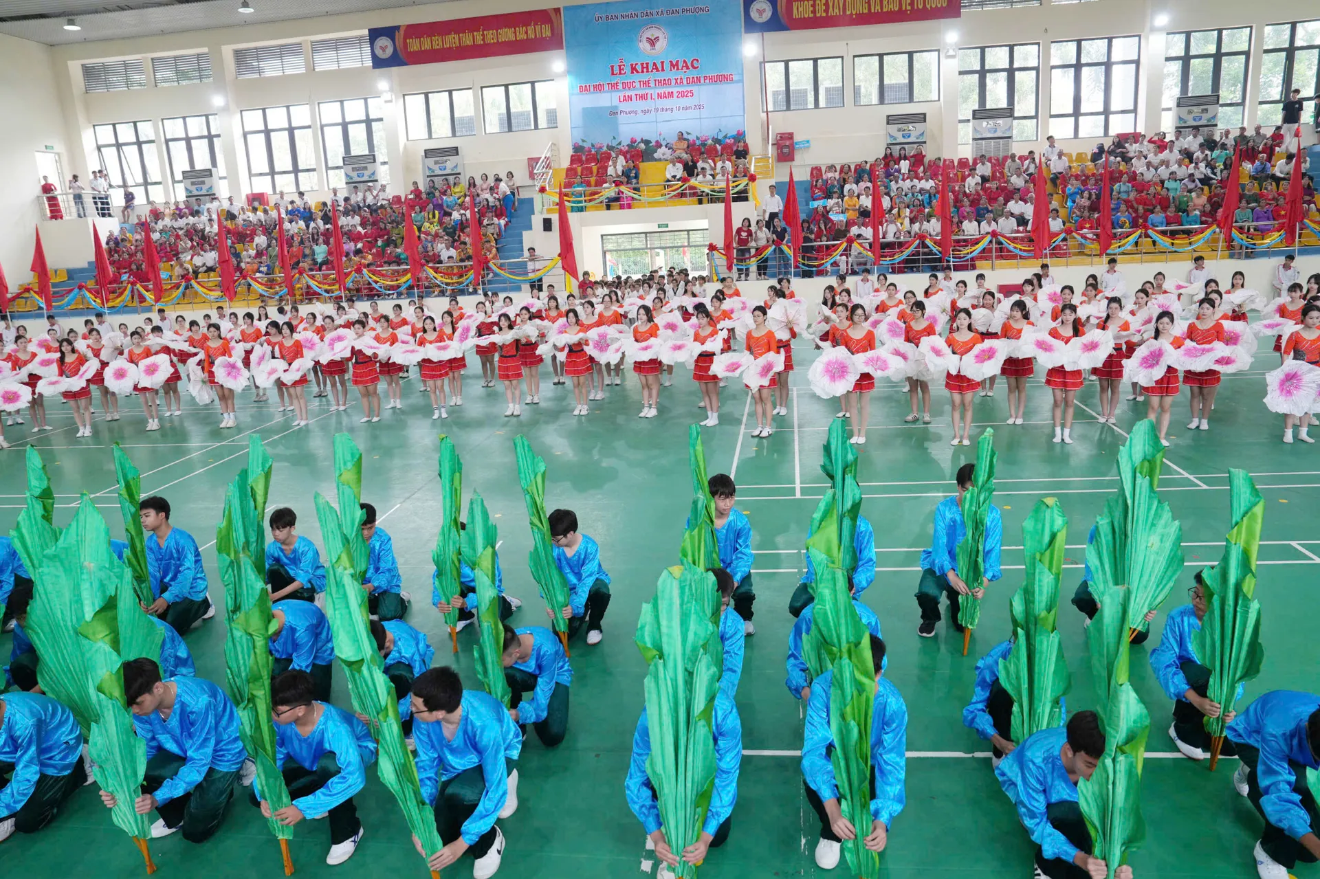 Hình ảnh 11