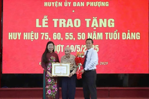 Huyện ủy Đan Phượng trao Huy hiệu Đảng tặng 109 đảng viên đợt 19/5
