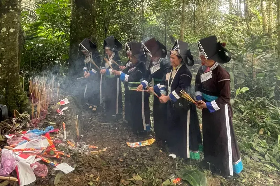 Hình ảnh 3