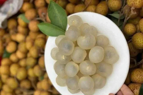 Việt Nam có thêm 5 di sản văn hóa phi vật thể quốc gia