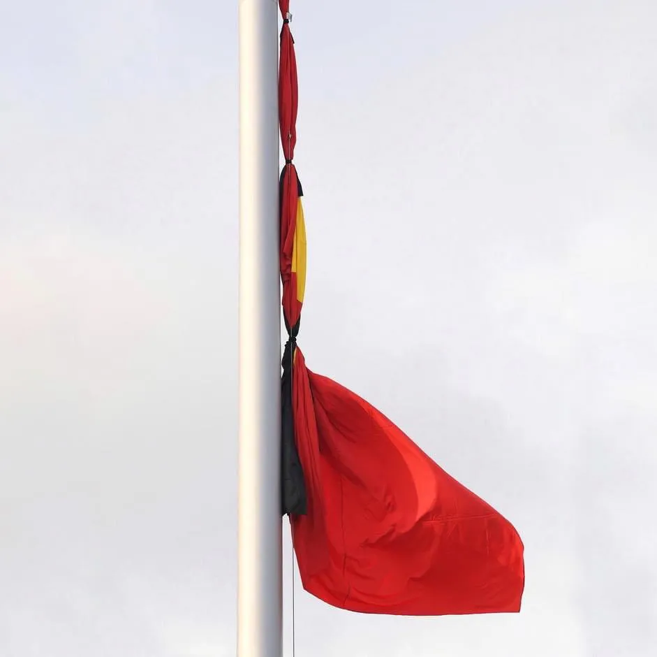 Hình ảnh 1