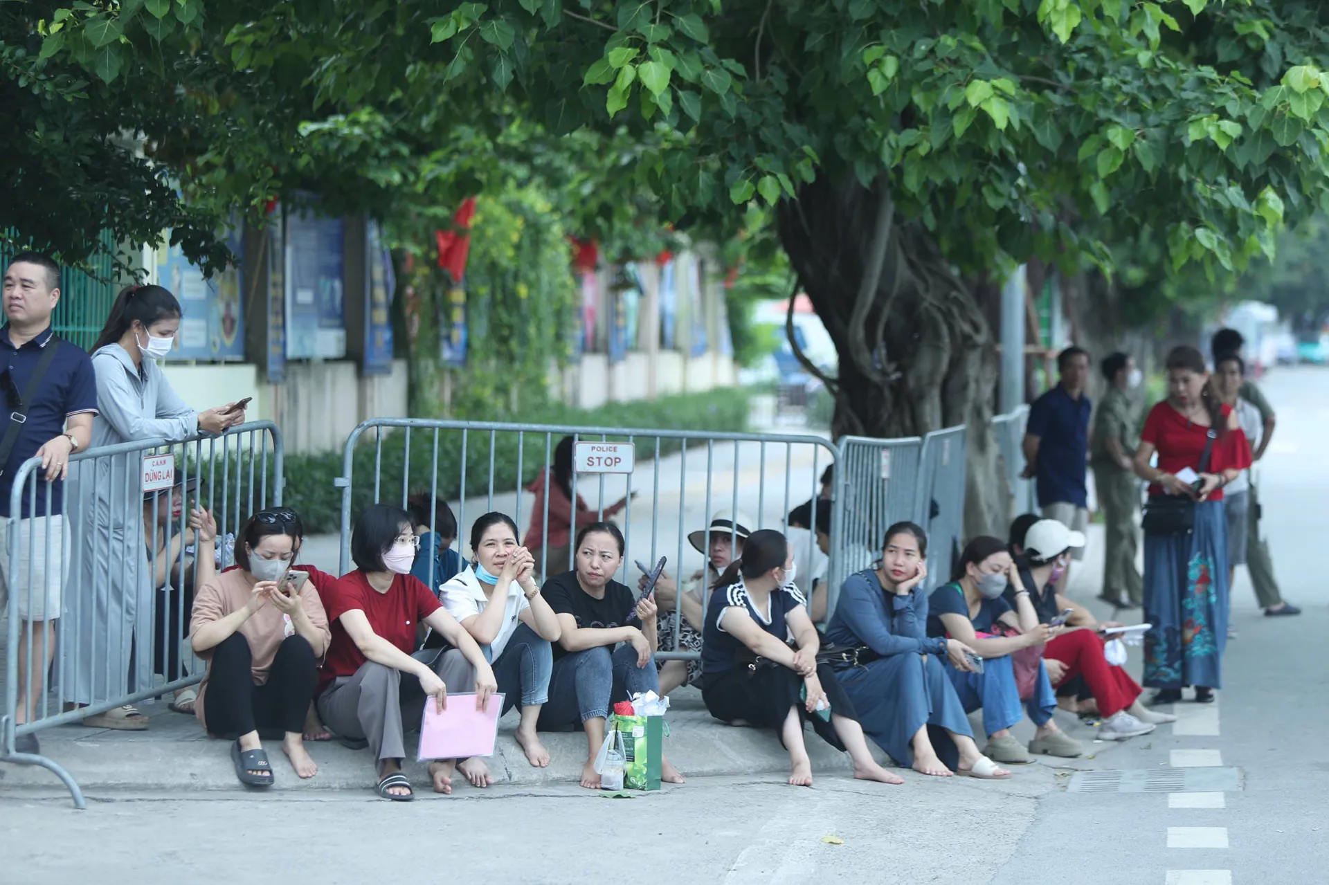 Hình ảnh 5