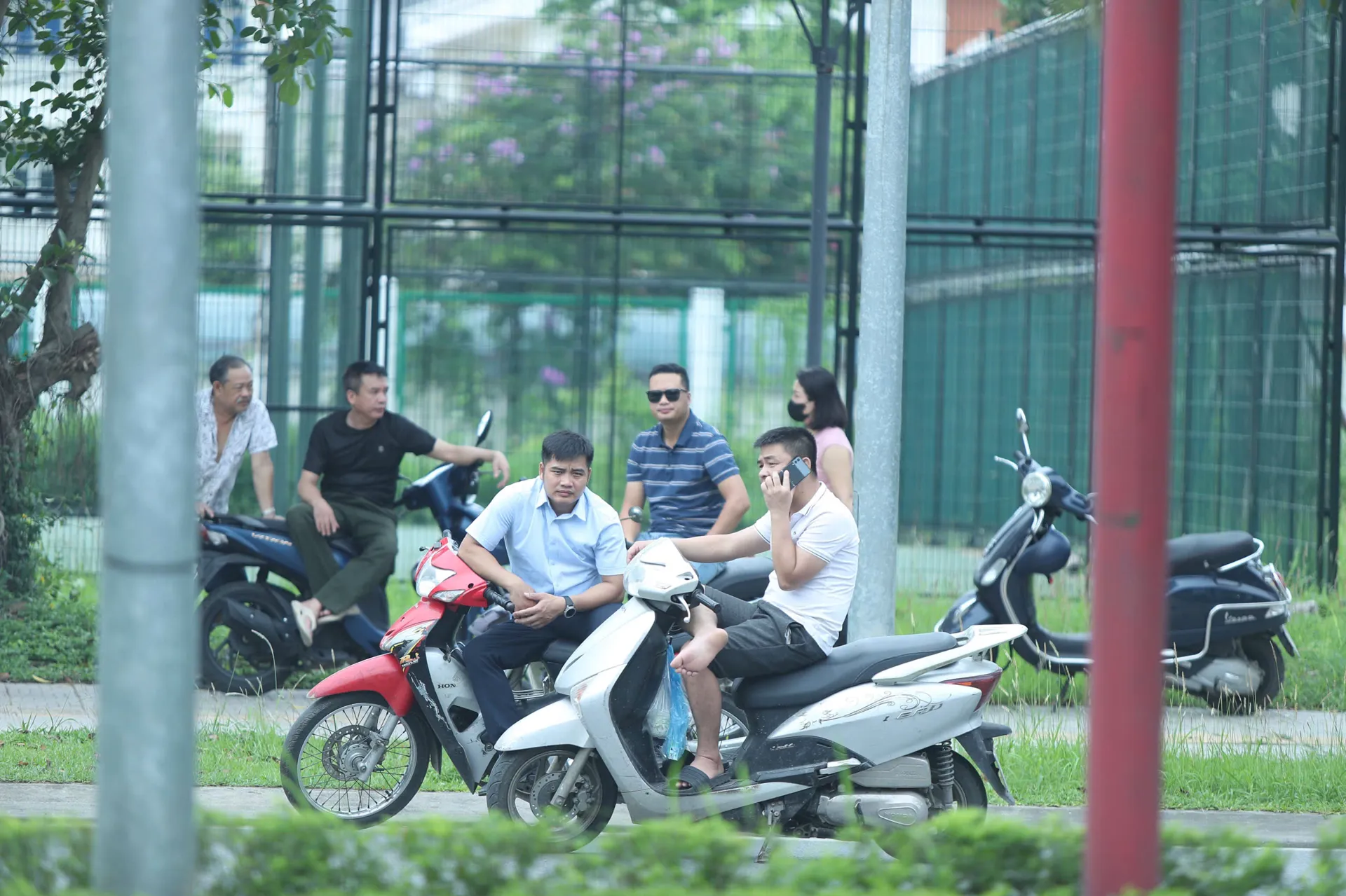 Hình ảnh 6