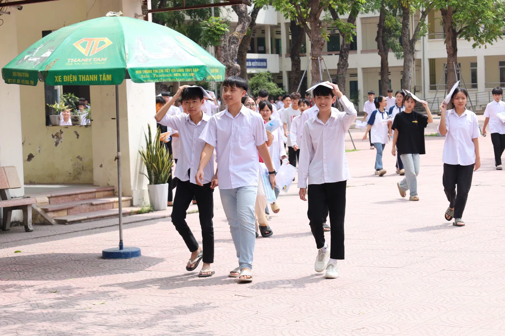 Hình ảnh 22