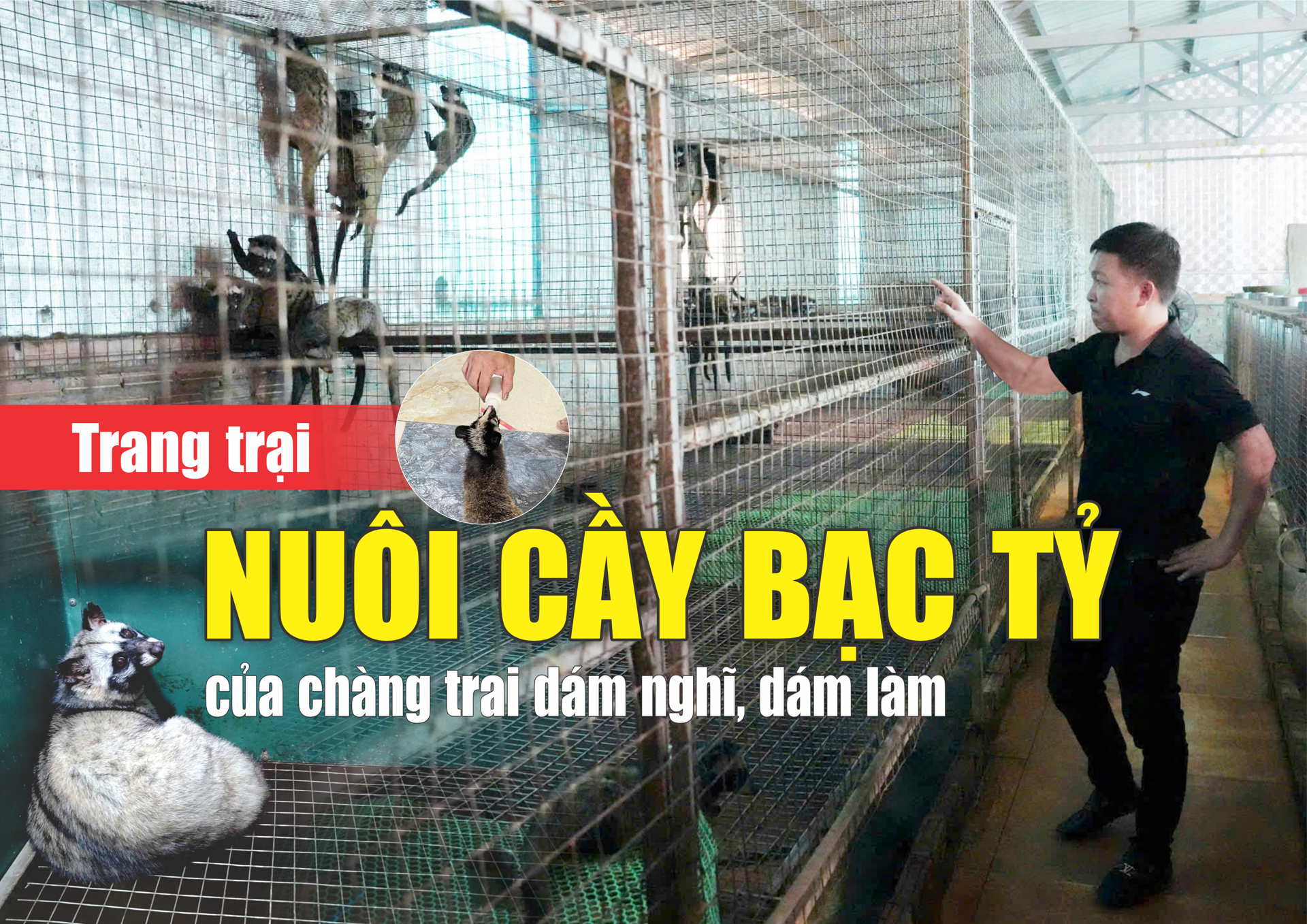 Hình ảnh 1