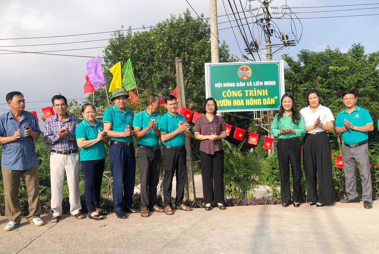 Hình ảnh 2