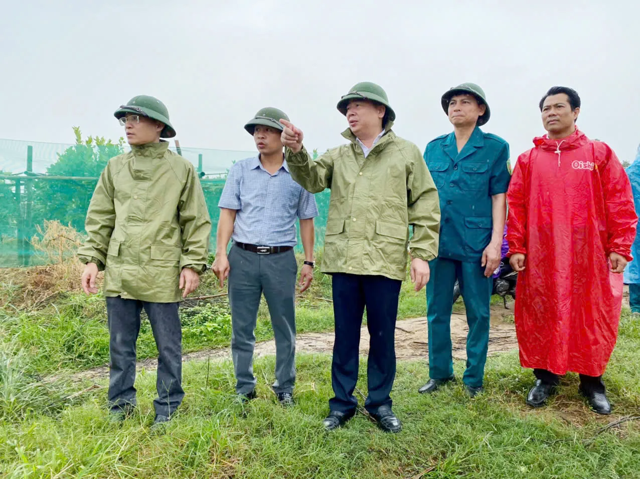Hình ảnh 2