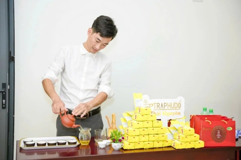 Phát triển nông nghiệp xanh từ cây chè gắn với du lịch trải nghiệm