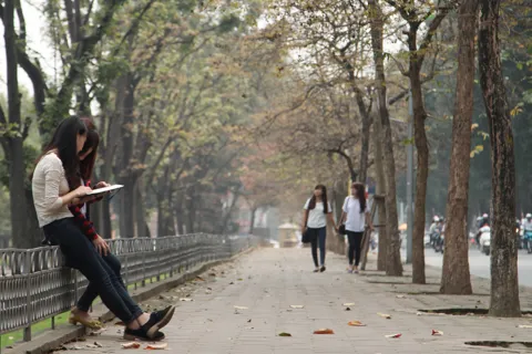 Câu chuyện vỉa hè