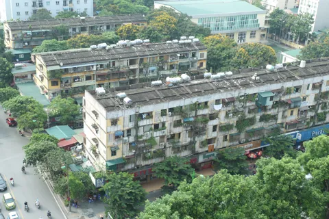 Chuyện từ hành lang chung cư