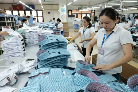 Thương mại Việt - Mỹ tiếp đà phát triển mạnh