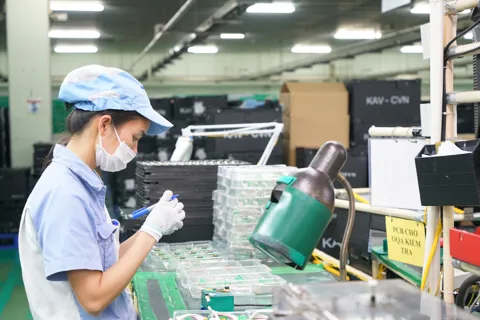 Tận dụng cơ hội từ thuế tối thiểu toàn cầu