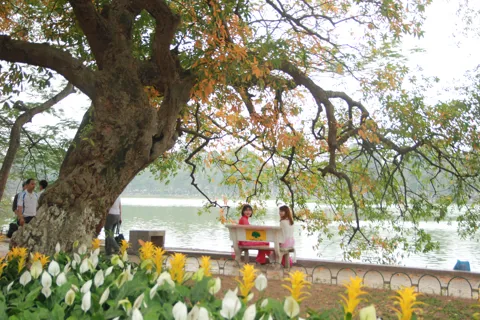 Nghĩ về thương hiệu “mùa Thu Hà Nội”