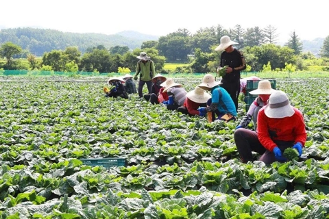 Các quốc gia điều chỉnh chính sách nhập nông sản Mỹ