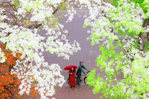 Hà Nội ơi, Thu rồi...