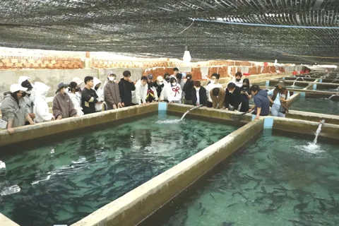 Nuôi trồng thủy sản - hướng đi bền vững cho người trẻ