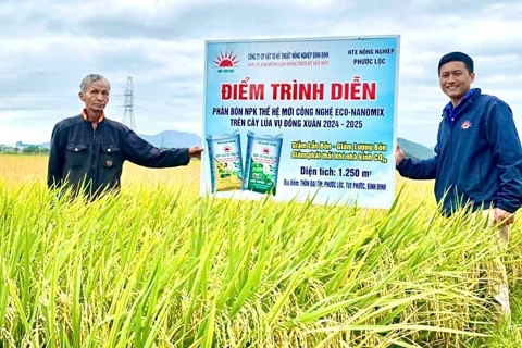 Hiệu quả vượt mong đợi từ phân NPK Mặt Trời Mới công nghệ Eco-Nanomix trên cây lúa tại Duyên hải Nam Trung Bộ
