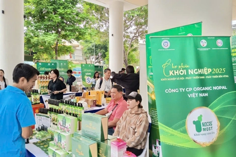 Khởi nghiệp xanh 2025: Hành trình vì môi trường bền vững