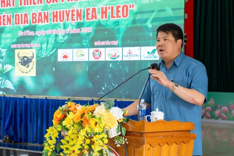 Phát triển cà phê bền vững từ chuỗi liên kết