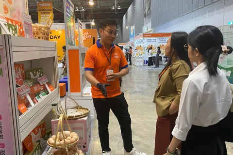 Trứng gia cầm: thị trường "vàng" chưa được khai thác hết tại Việt Nam