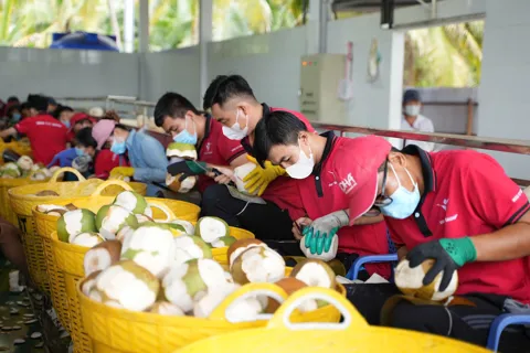 Nông sản Việt “vượt sóng” biến đổi khí hậu để chinh phục thị trường thế giới
