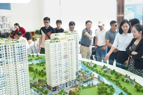 Doanh nghiệp bất động sản không được ủy quyền cho tổ chức, cá nhân khác ký hợp đồng đặt cọc, mua bán