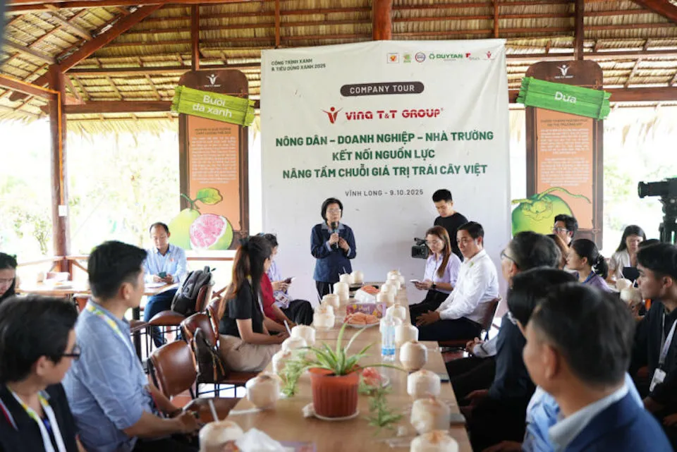 Hình ảnh 2