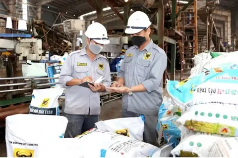 Bình Điền – Mekong: Giải pháp dinh dưỡng toàn diện cho nền nông nghiệp đô thị xanh