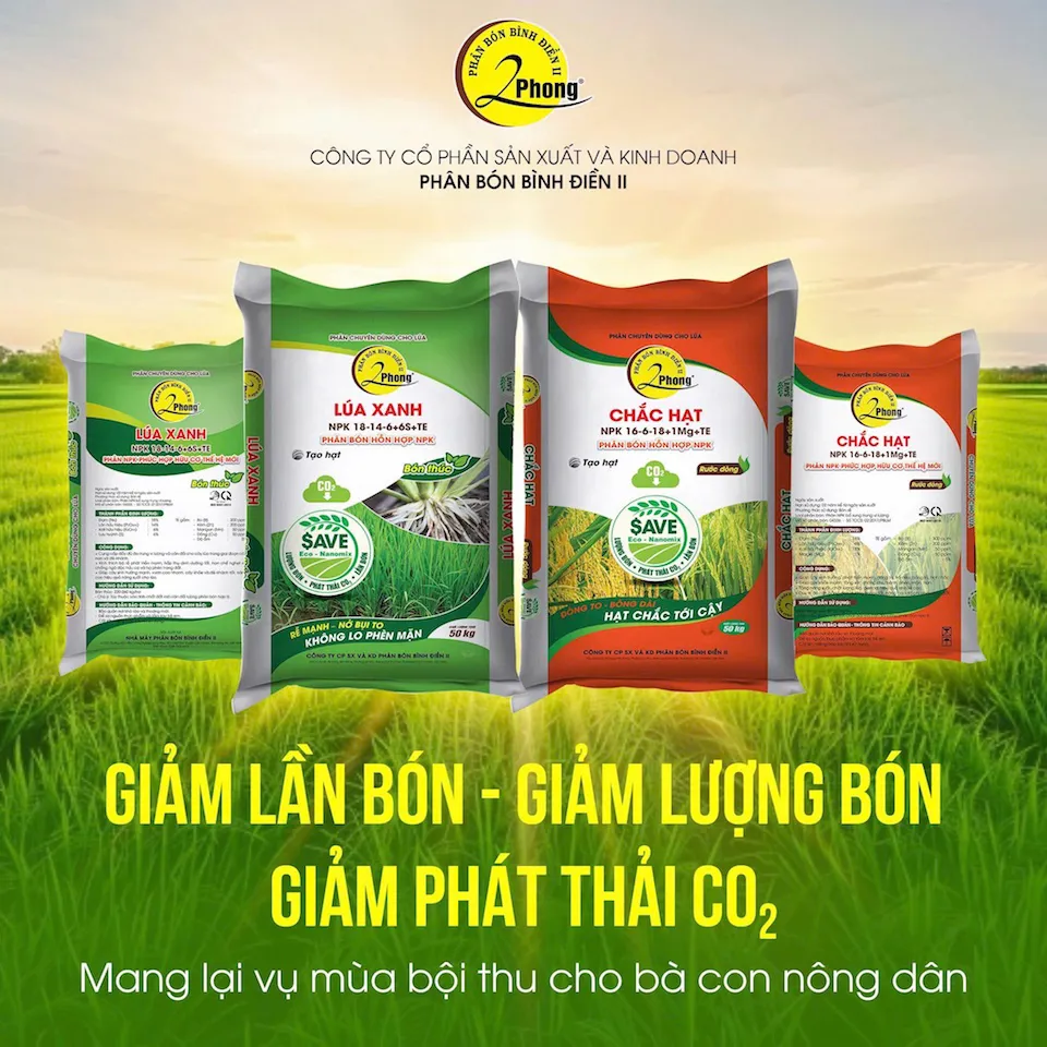 Hình ảnh 4