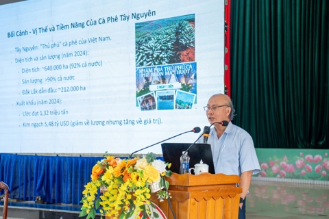 Canh tác cà phê thông minh ứng phó với biến đổi khí hậu