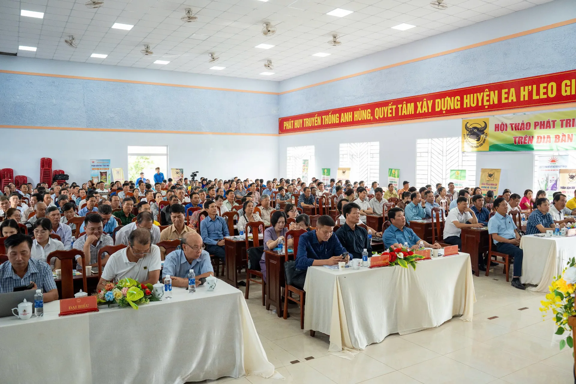 Hình ảnh 7