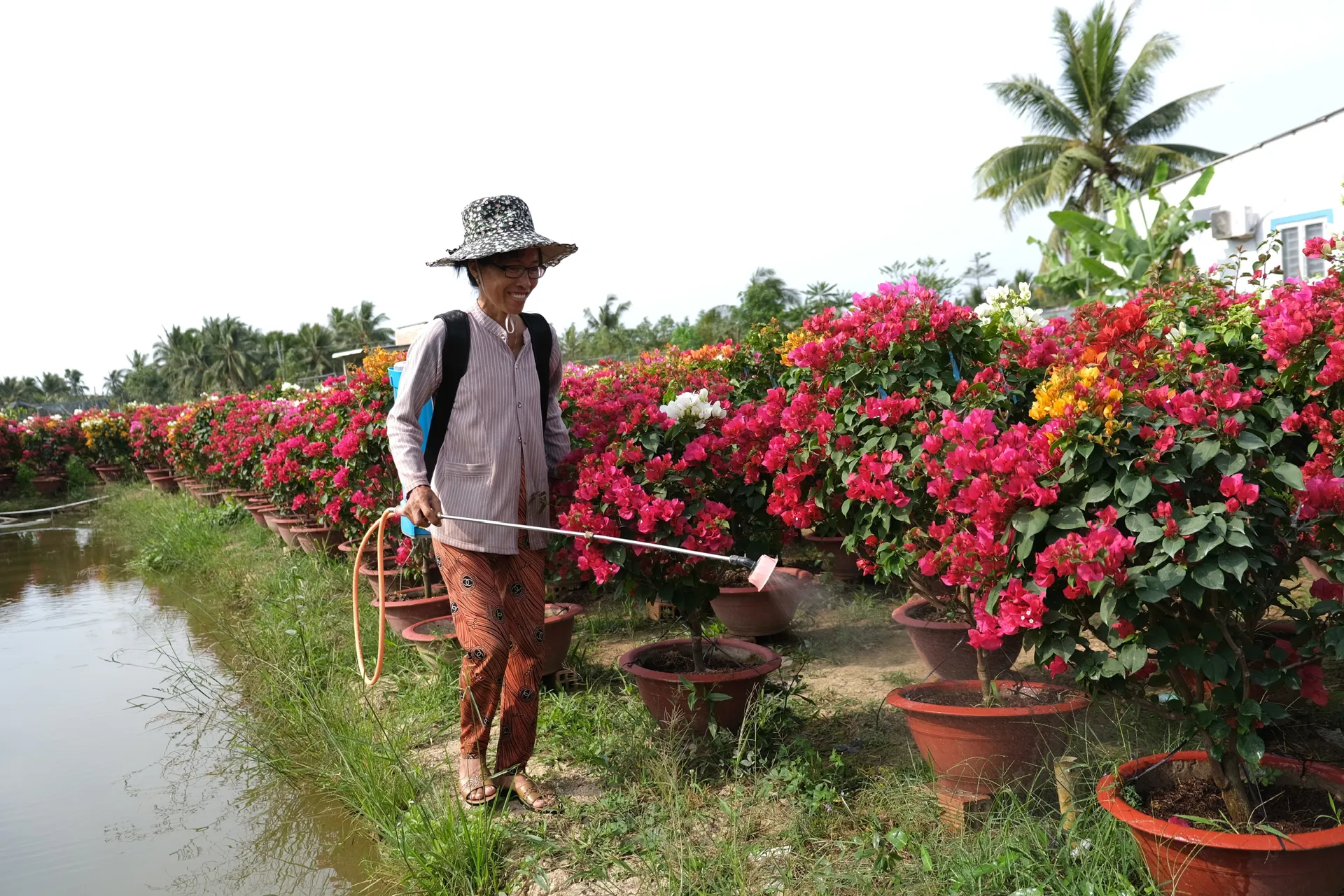 Financing the Future: A breakthrough climate initiative for the Mekong Delta