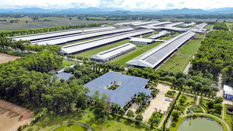 Vinamilk represents Southeast Asia in the world's top 10 dairy brands